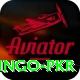 Bingo PKR Games (Casino & Earning) VIP v4.6.8