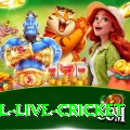 bpl live cricket Royal - Daily Bonus