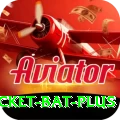 cricket bat APK Supreme v5.9.9