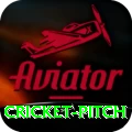 cricket pitch Live Prime v2.1.5