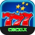 crickex App Champion v1.7.2