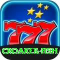 croaker fish Max 2024