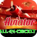 fastest ball in cricket Bonus Max v4.5.7