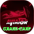 grass carp King Rewards