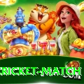 india cricket match Jackpot King v5.1.0