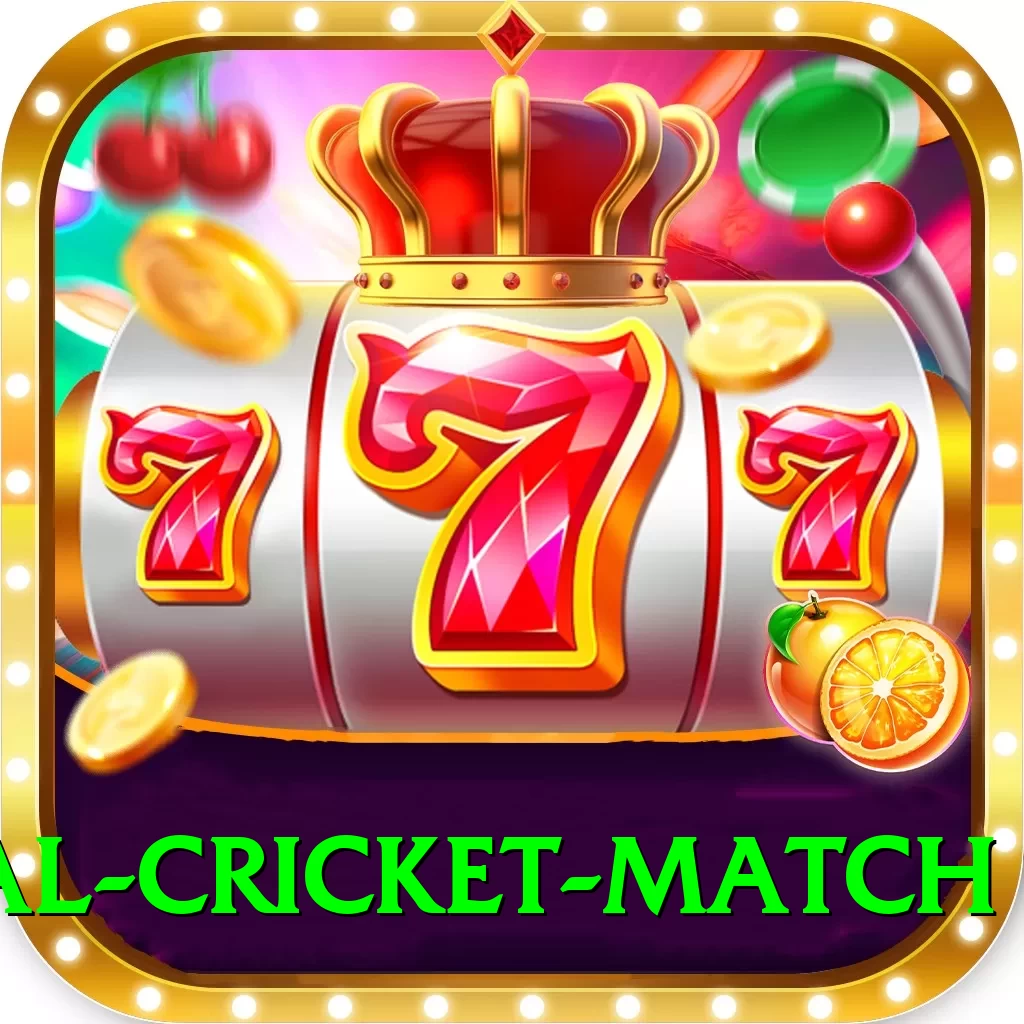 international cricket match PK Premium - 2