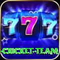 ireland cricket team Deluxe Pakistan
