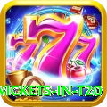 most wickets in t20 APK Royal v4.4.7