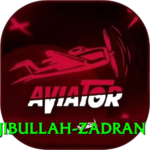 najibullah zadran Casino Pro v1.4.3 - 2
