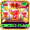 new zealand cricket team Champion Casino App