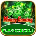 play cricket Deluxe Pakistan