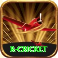 r cricket Game VIP v3.8.0