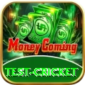 test cricket Cash Ultimate
