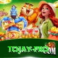 tojay Champion APK v1.3.1