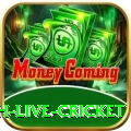 watch live cricket Champion New