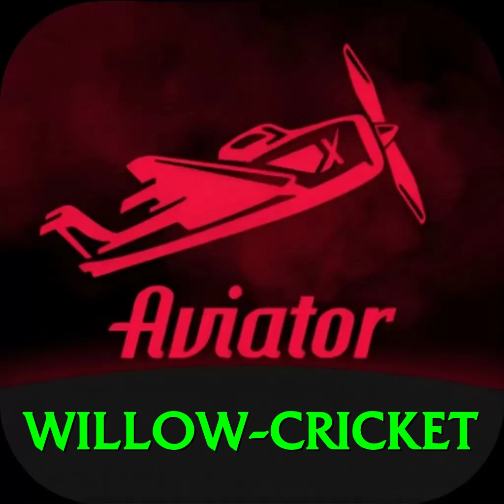 willow cricket - Slots Champion - 2
